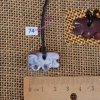 zebra_nr_1079