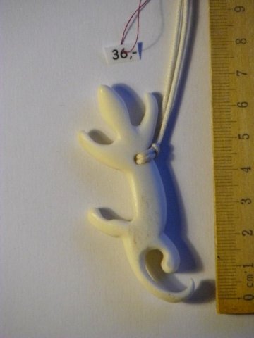 bone_Nr_44