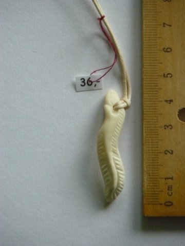 bone_Nr_73