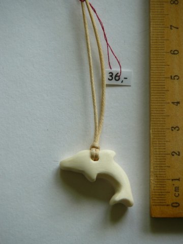 bone_Nr_76