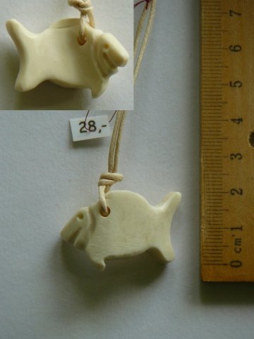 bone_Nr_80