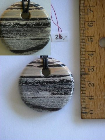 Zebra_Nr_194